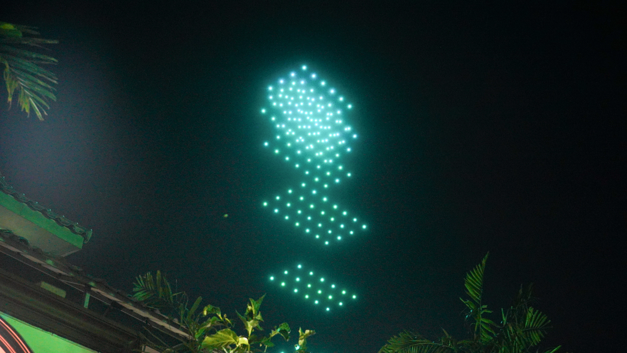 Drone Show